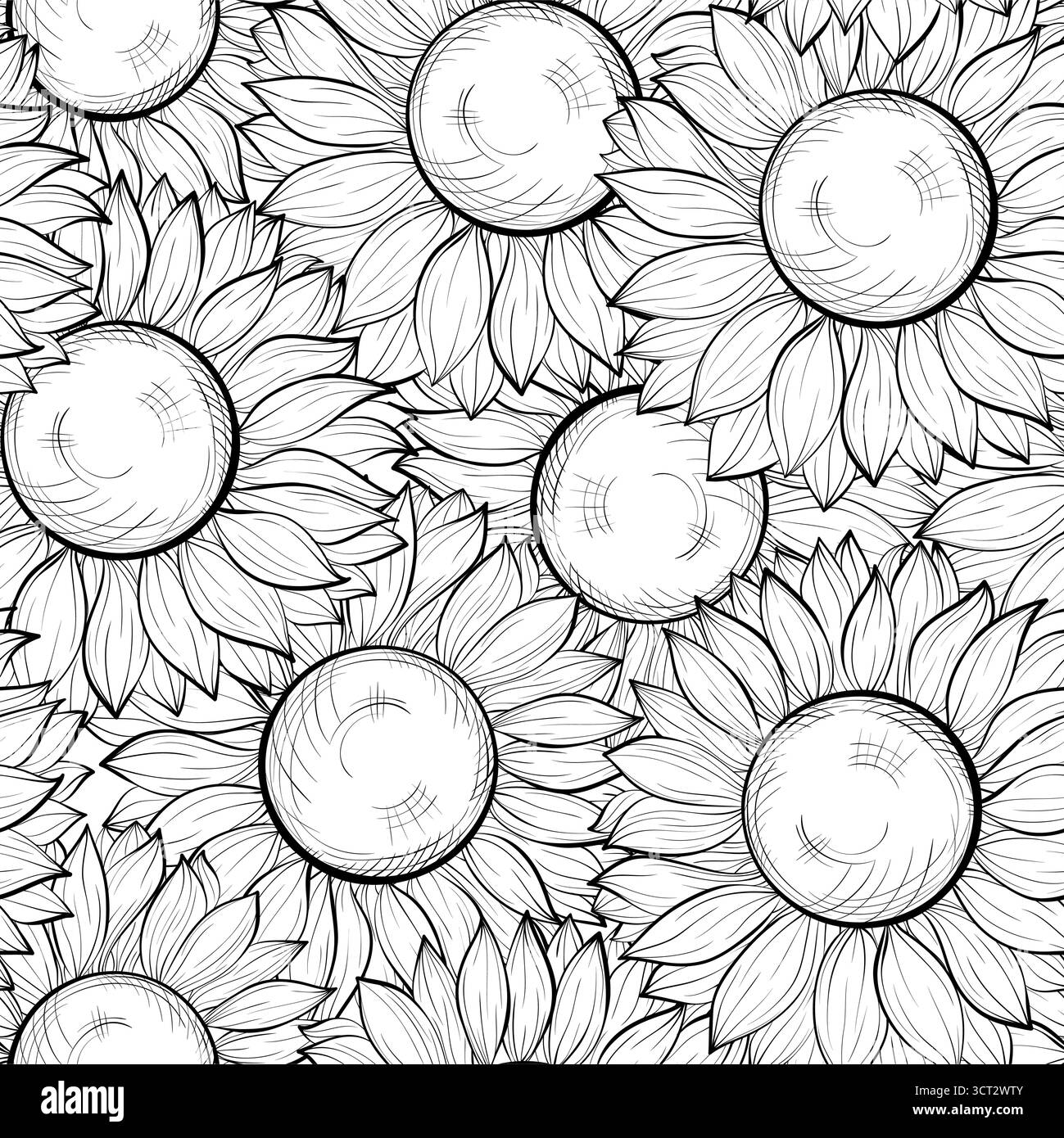 beautiful black and white seamless background with sunflowers. Hand ...