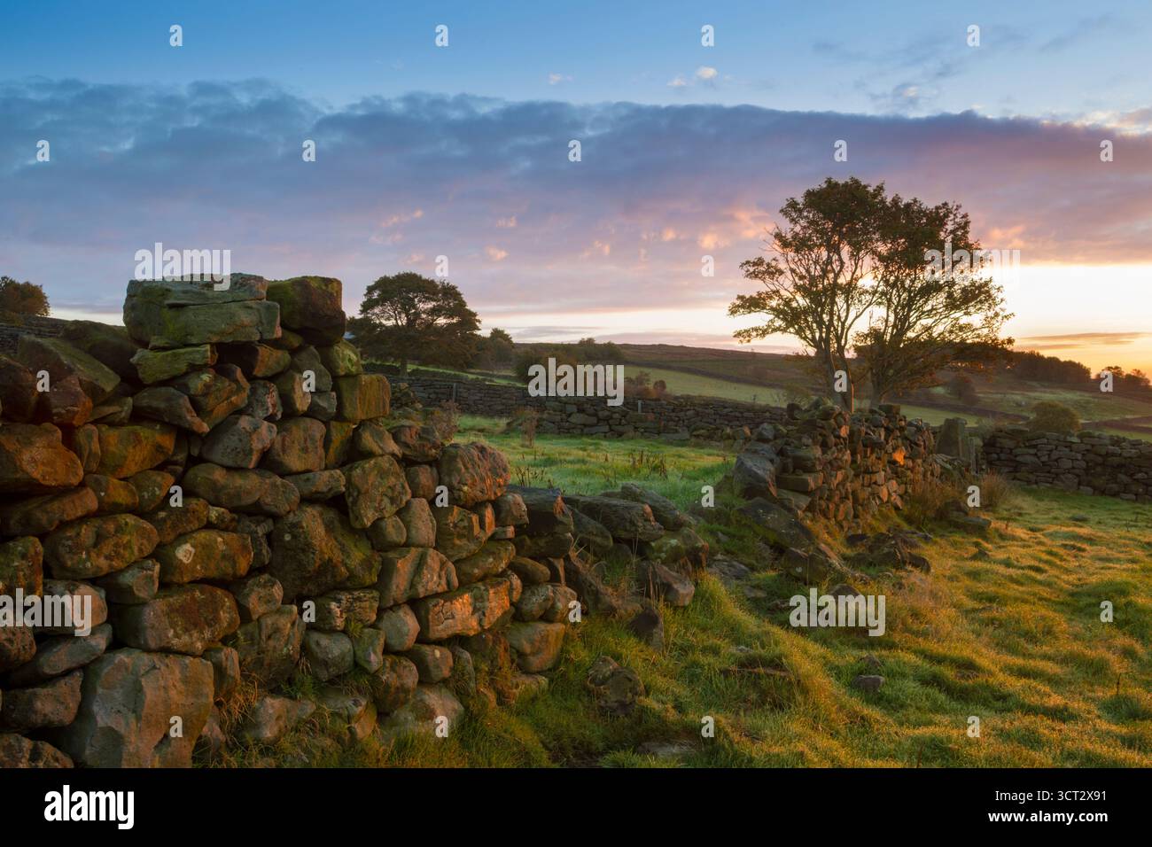 A North Yorkshire stone wall in a state of disrepair, pictured at sunrise and located close to Danby within the North York Moors national park - Stock Image