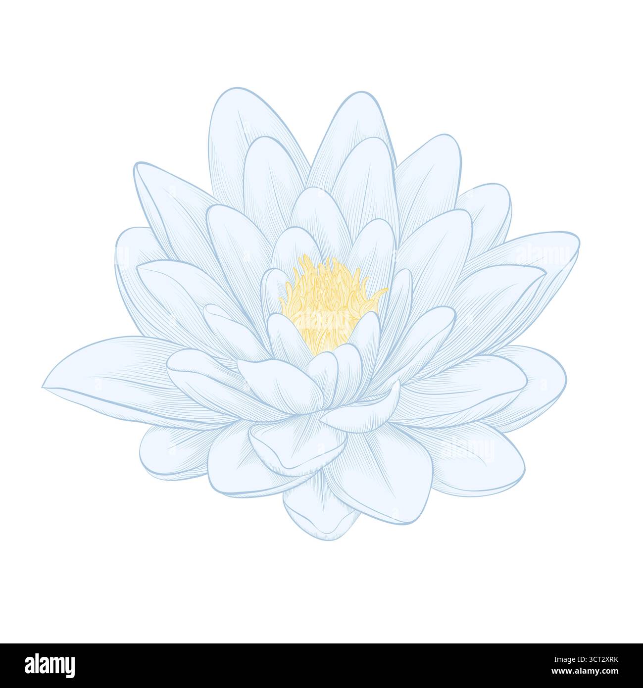 lotus flower painted in graphic style isolated on white Stock Vector ...