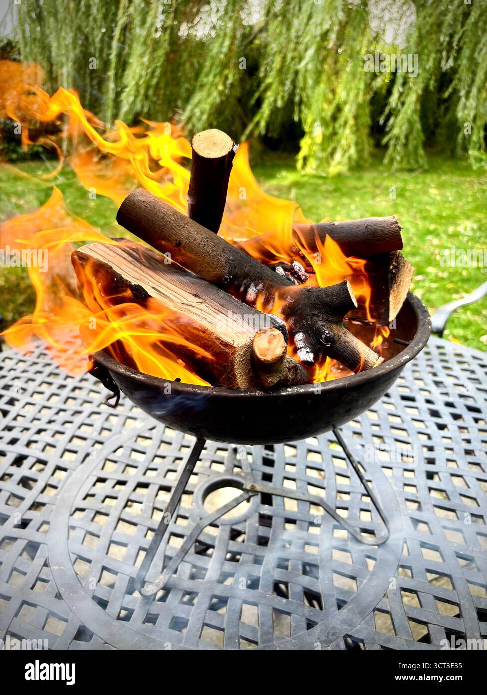 Barbecue fire burns brightly. Stock Photo