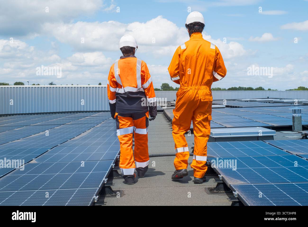 Two technicians inspecting solar panels Stock Photo