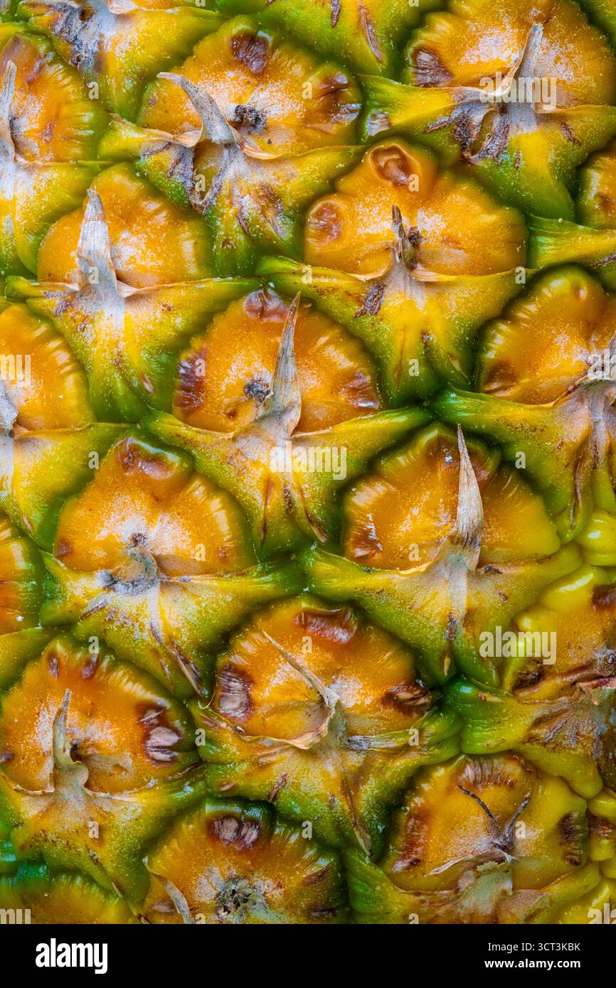 A pineapple skin texture material Stock Photo