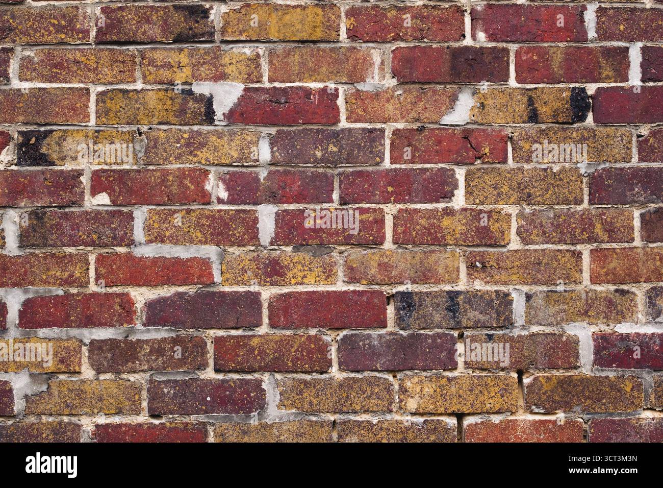 A red brick wall material with gray cement joints Stock Photo