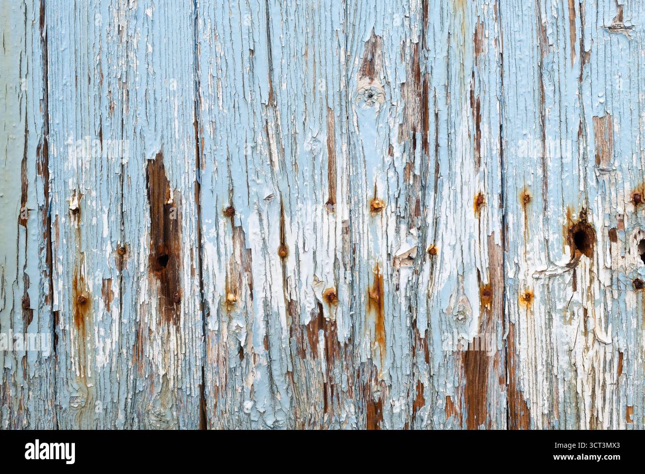 An old wooden door with peeling blue paint and rusty nails Stock Photo