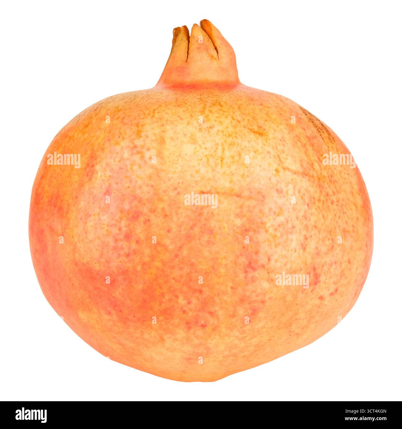 A whole pomegranate on an isolated background. Stock Photo