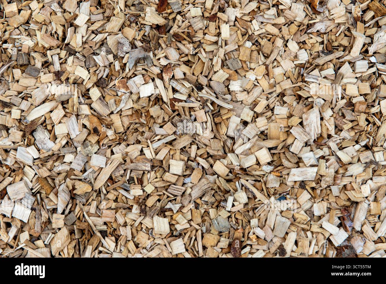 Background. A large pile of fresh wood chips. The shredded wood is used for mulching, landscaping, or covering forest trails. Stock Photo