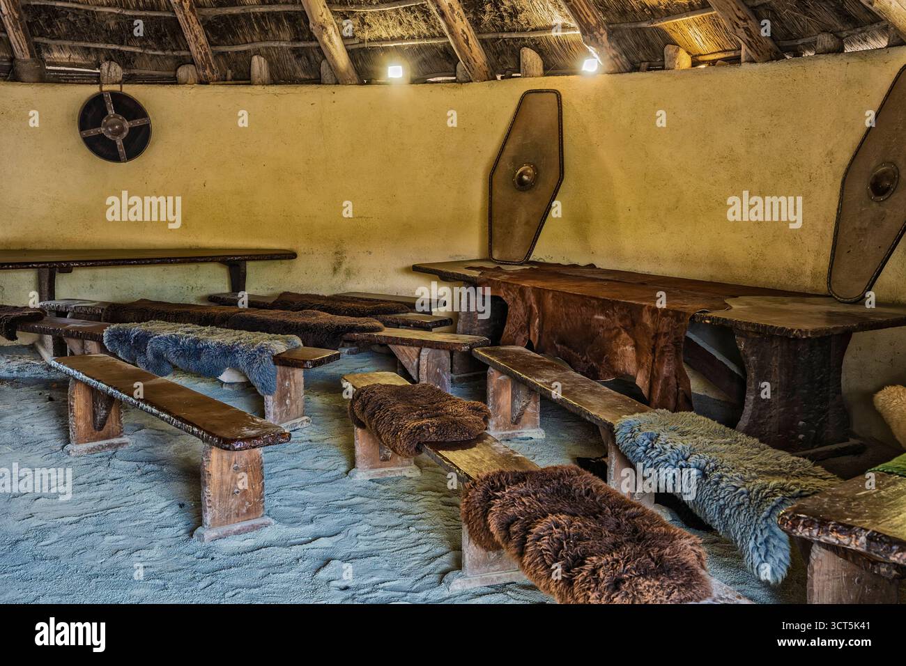 Viking longhouse interior with benches, furs, and table showing ...
