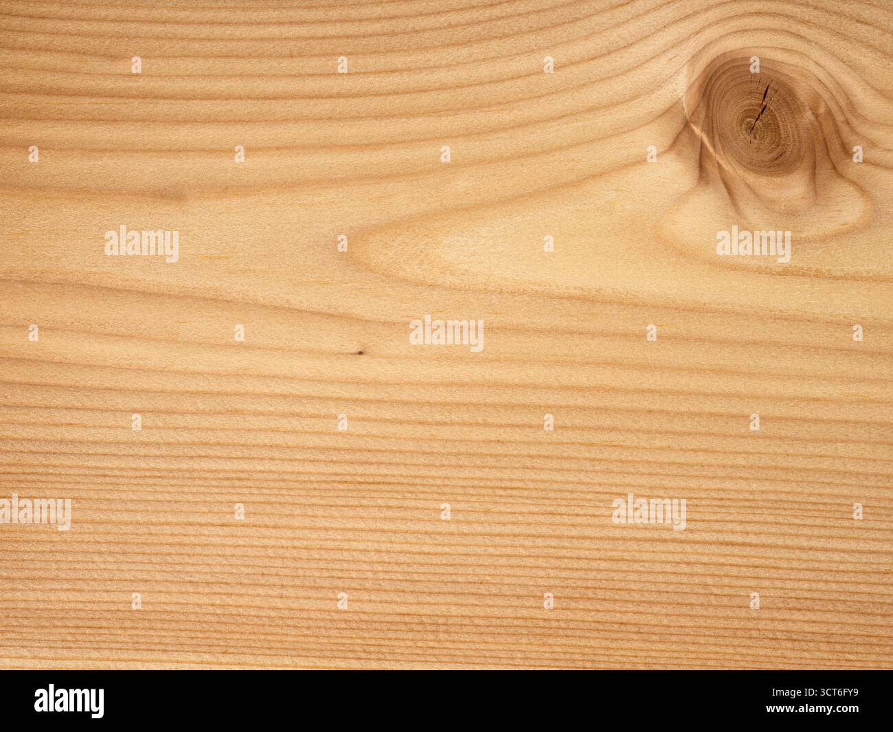 Richly textured larch veneer with knots for a rustic look Stock Photo