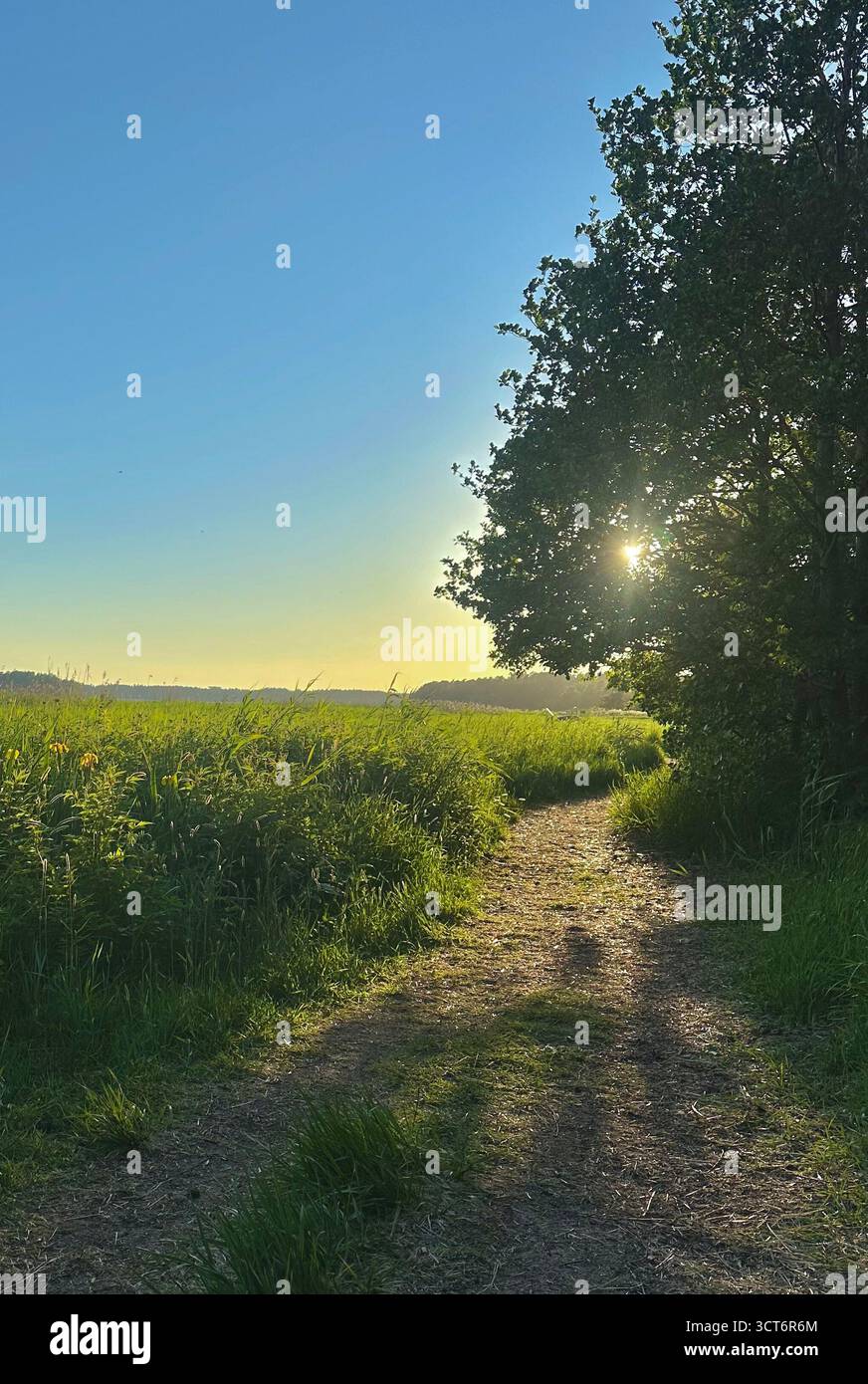 Finnish summer, Kallvik - Smartphone Captured Stock Image