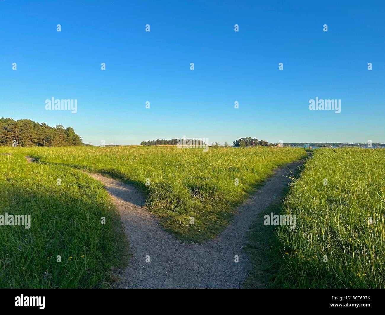 Finnish summer, Kallvik - Smartphone Captured Stock Image
