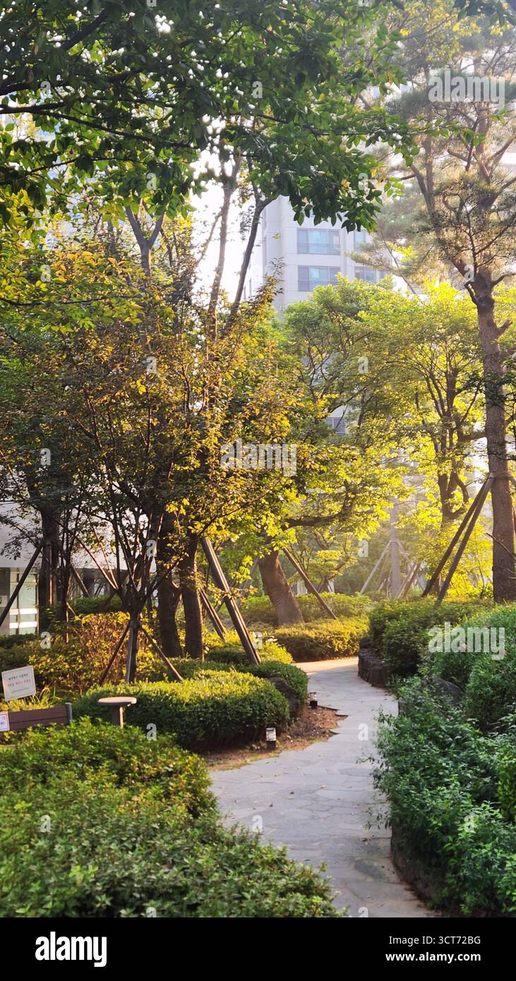 A garden with a curved path Stock Photo