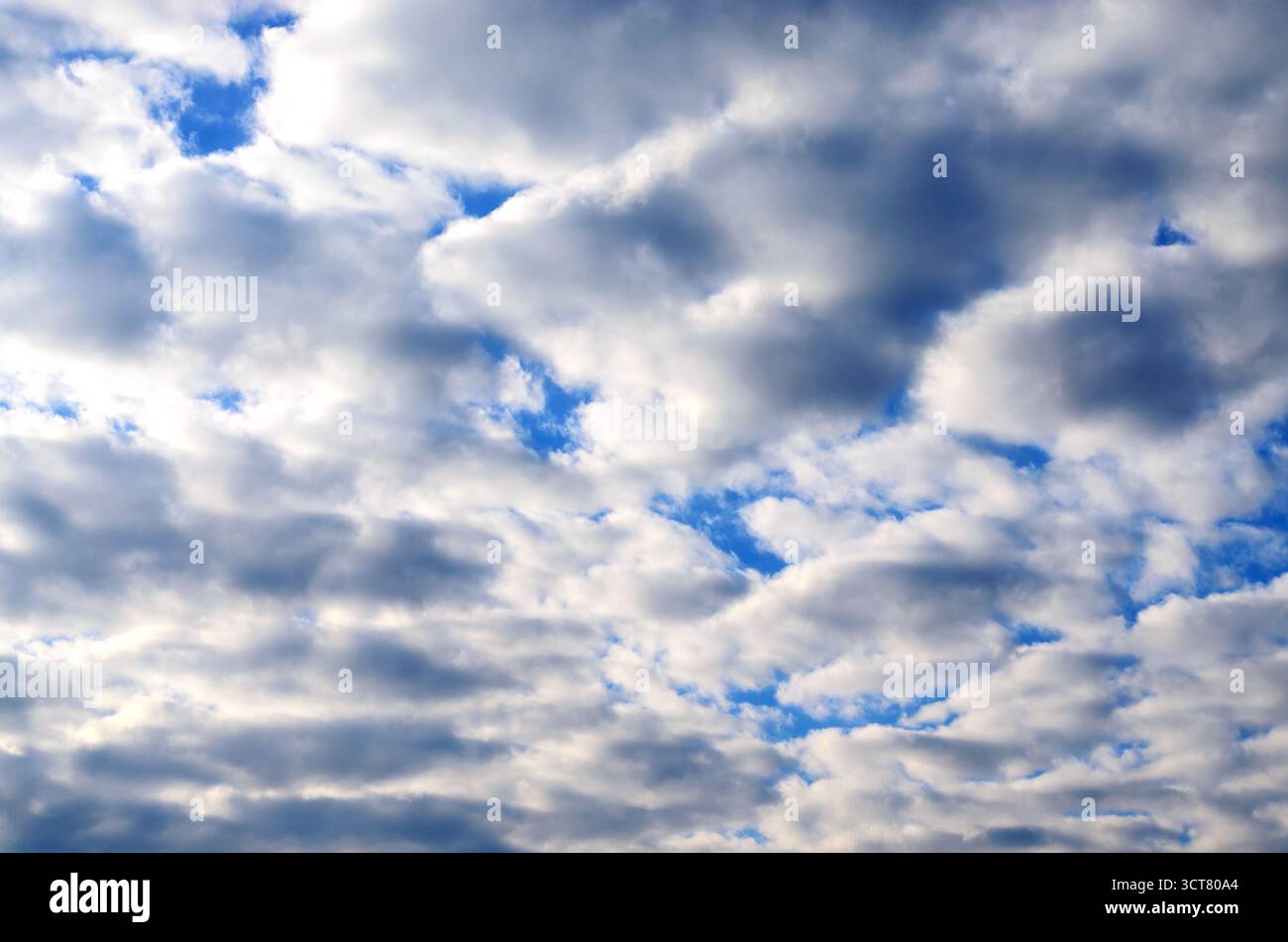 Dramatic Blue Sky Patches Breaking Through Thick White Altocumulus Clouds Stock Photo
