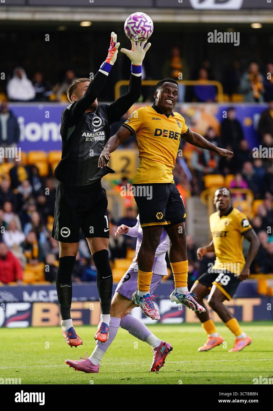 Brighton and Hove Albion goalkeeper Bart Verbruggen (left) saves from Wolverhampton Wanderers' Jhon Arias during the Premier League match at Molineux Stadium, Wolverhampton. Picture date: Sunday October 5, 2025. Stock Photo
