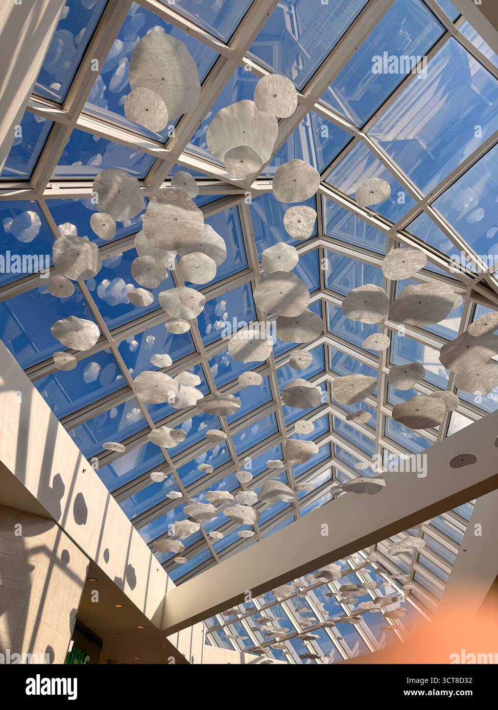 Glass skylight and hanging cloud sculptures inside shopping mall, United States - Smartphone Captured Stock Image