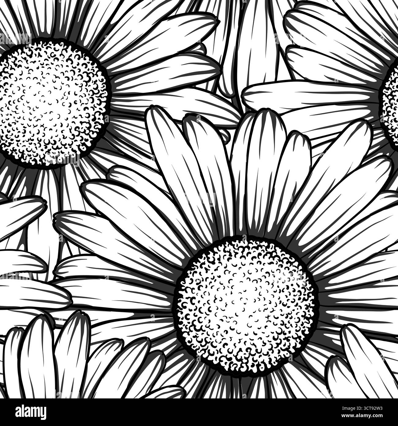 black and white seamless background with flowers daisy Stock Vector ...