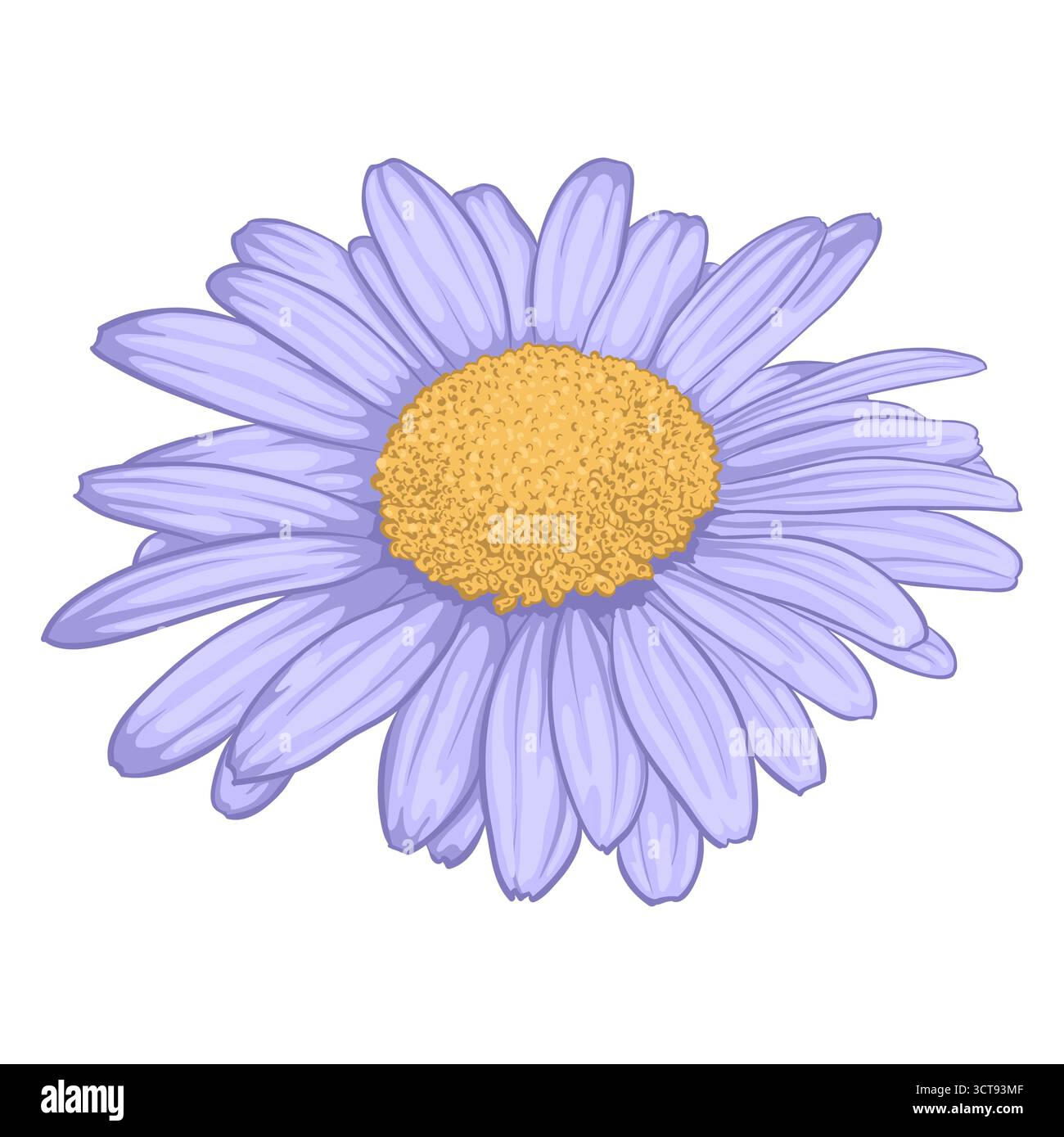 beautiful daisy flower isolated on white background Stock Vector