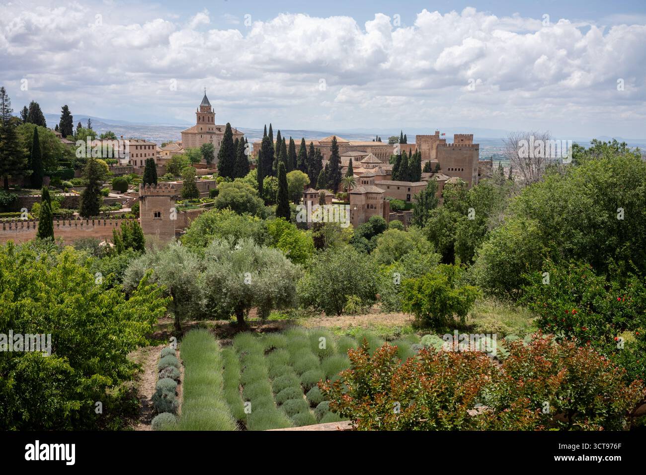 View of Alhambra Palace from the palace garden,  Granada, Spain Stock Photo