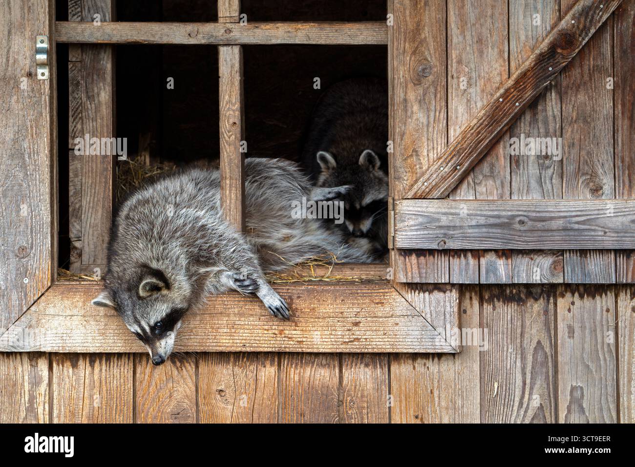 Native american couple farm hi-res stock photography and images - Alamy