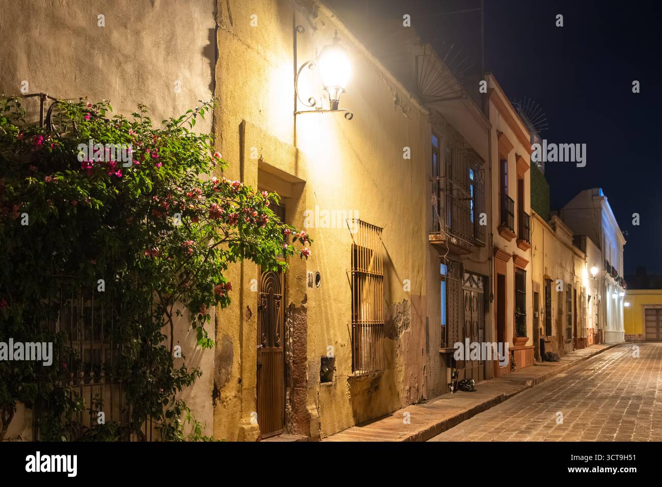 Quiet Rivers Street A quiet street at night with two houses on either side. The street is ...