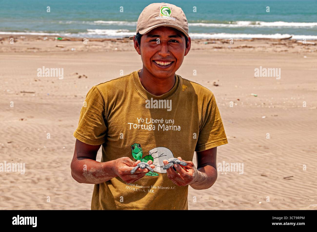Turtle birth and hatch at the Tecolutla beaches. Veracruz, Mexico Stock ...
