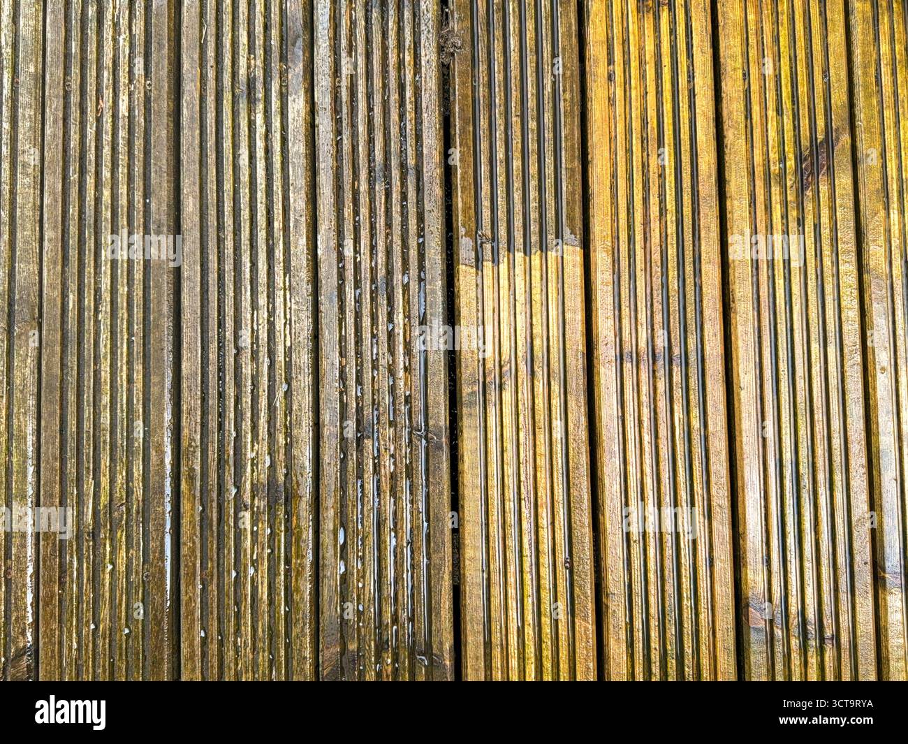 Before and after view of dirt and grime being cleaned from wooden decking using a pressure washer. DIY concept. - Smartphone Captured Stock Image