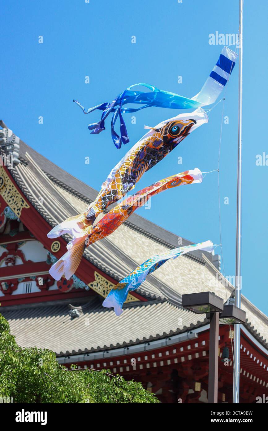 Kites flying above fish hi-res stock photography and images - Alamy