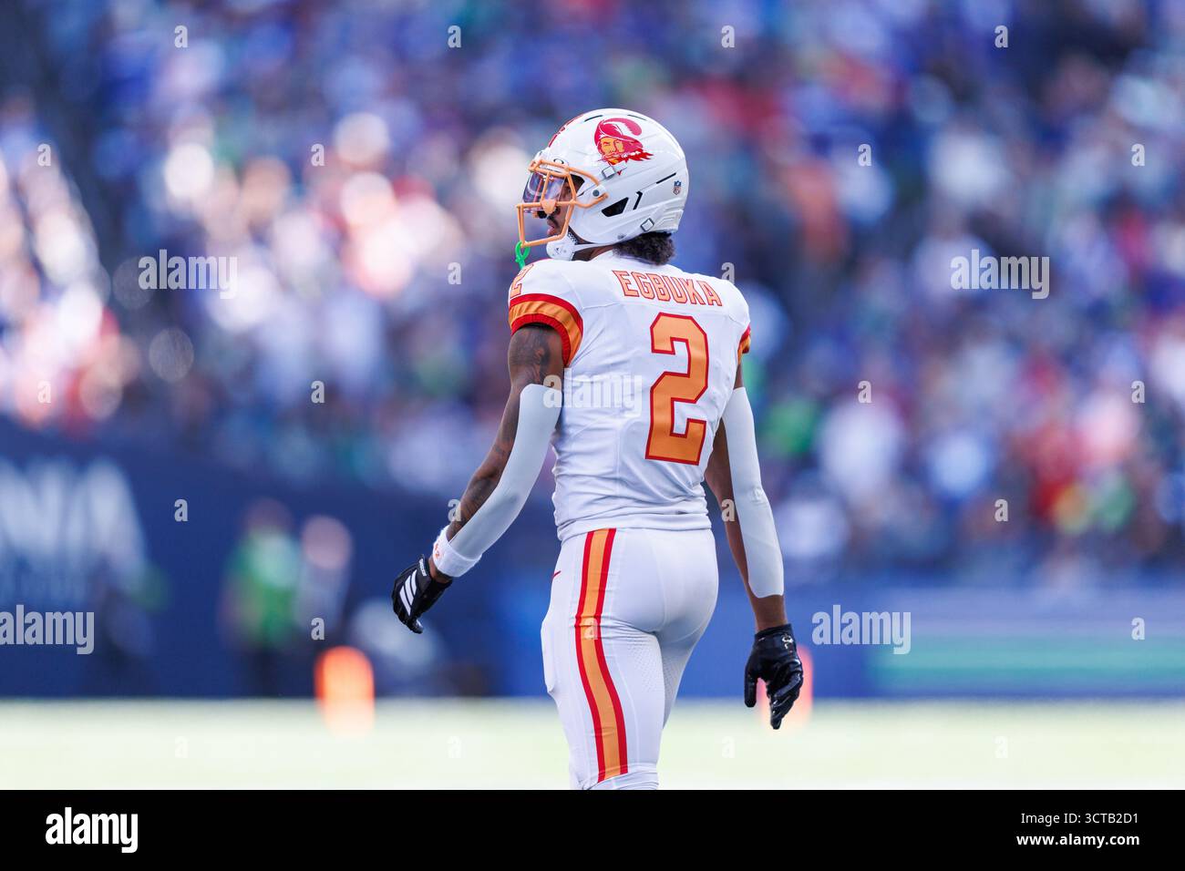 Tampa Bay Buccaneers wide receiver Emeka Egbuka (2) looks on during an ...