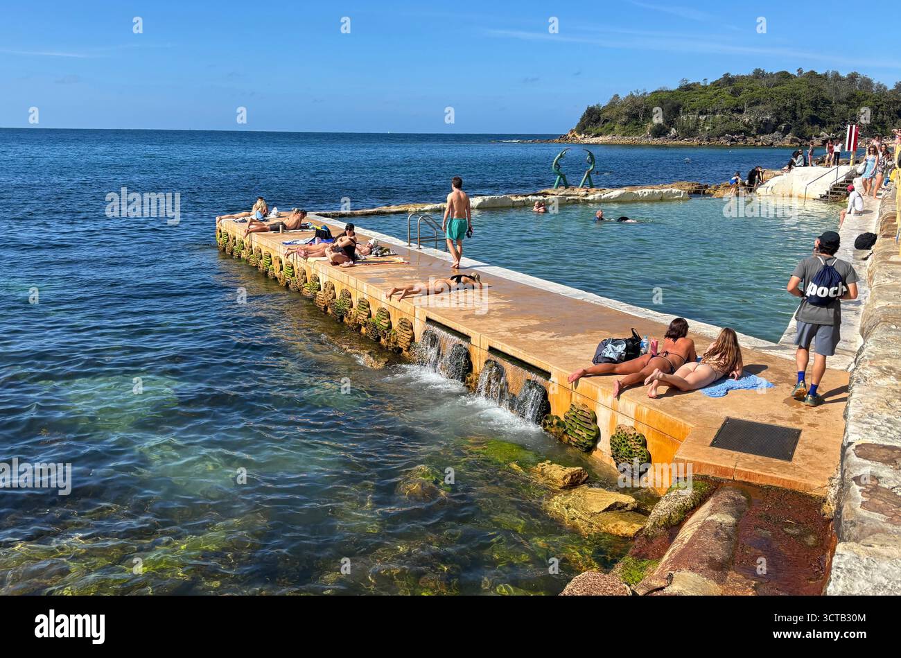Living Seawalls project on vertical wall of Fairy Bower Rockpool, Shelly Beach, Manly, Sydney, NSW, Australia. No MR or PR - Smartphone Captured Stock Image