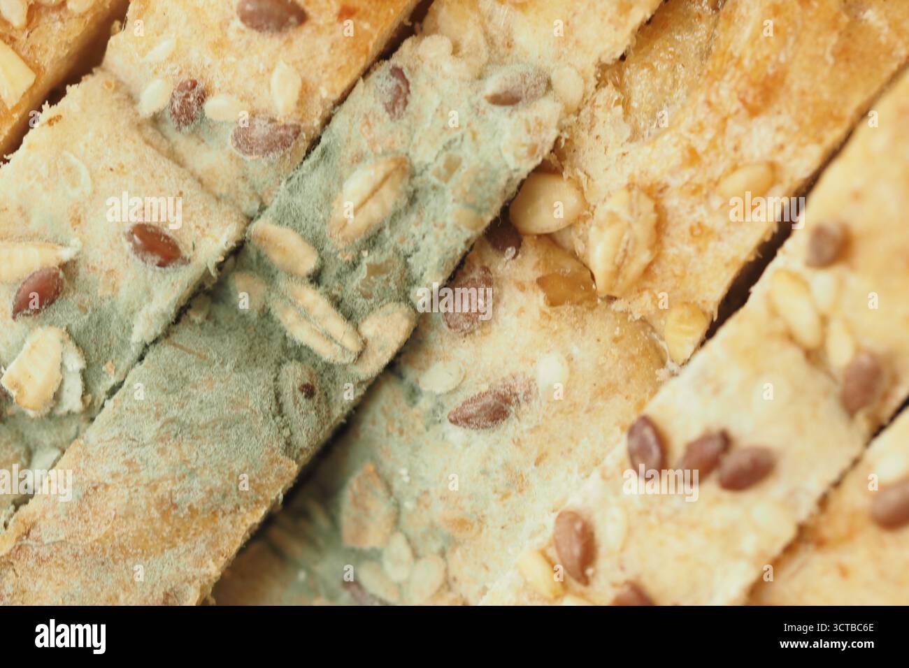 closeup of mold on a bread  Stock Photo