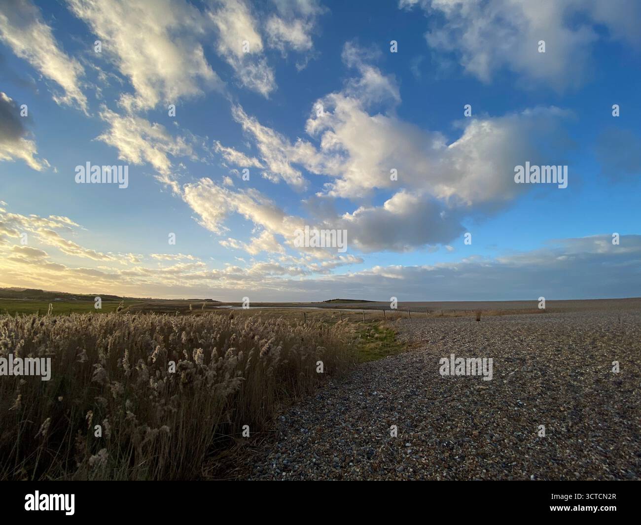A photograph of the reeds at Salthouse Beach at sundown in North Norfolk. - Smartphone Captured Stock Image