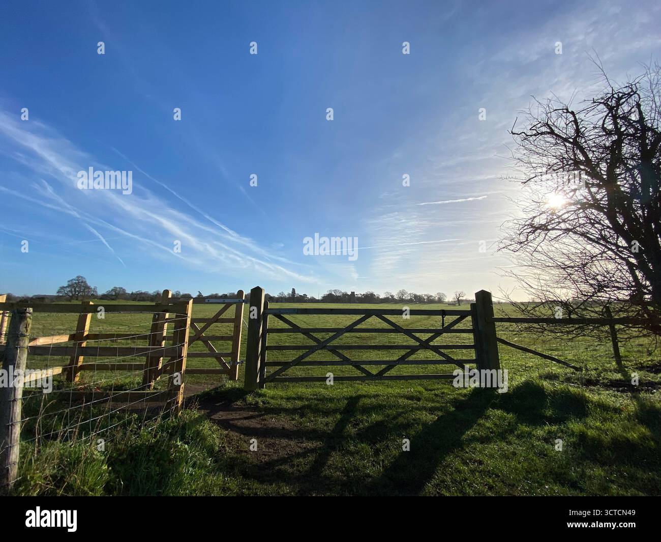 A photograph of a gate at Caistor St Edmund Roman Town in Norfolk - Smartphone Captured Stock Image
