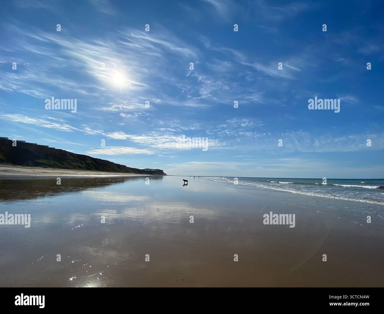 A dog walking in the distance on Cromer Beach in Norfolk, England, on a bright sunny evening in July with clear skies. - Smartphone Captured Stock Image