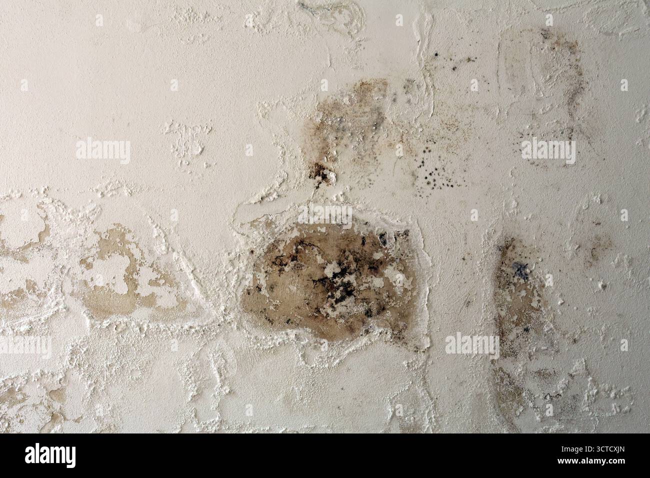 Severely Damaged Wall with Damp Stains and Saltpeter Efflorescence ...