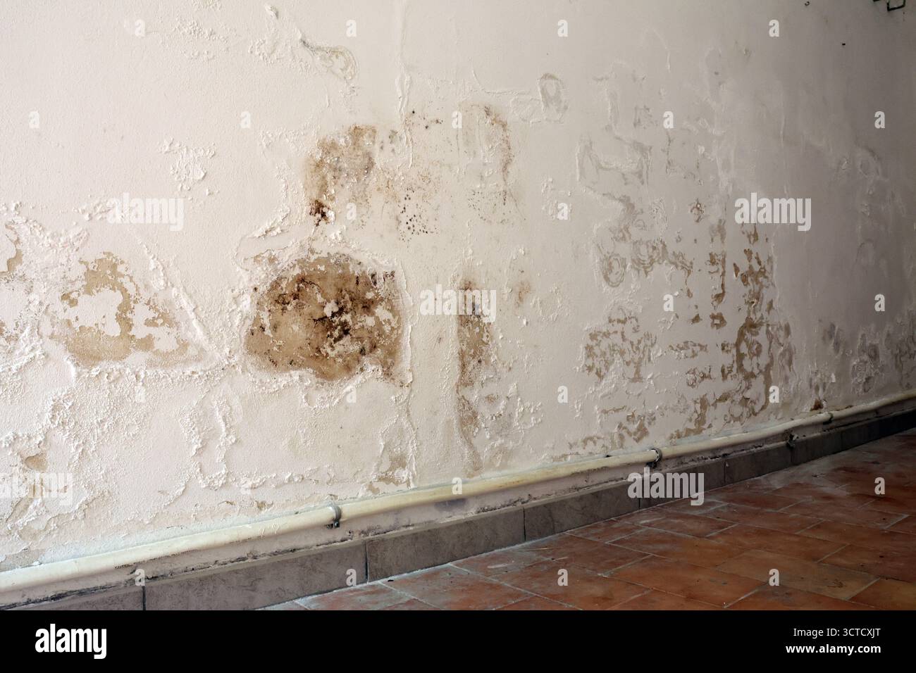 Severely Damaged Wall with Damp Stains and Saltpeter Efflorescence ...