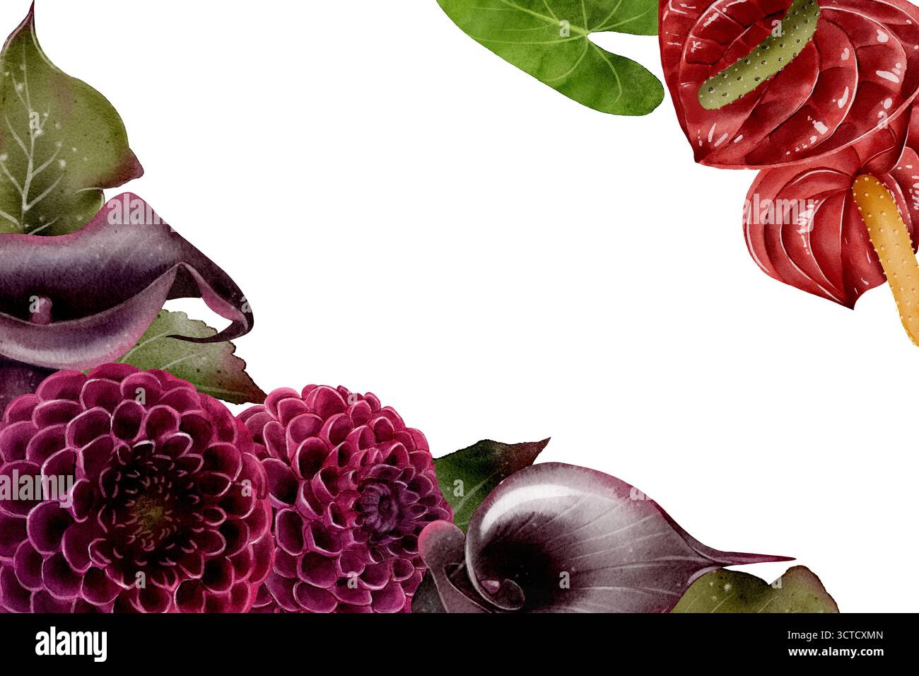 Exoticplant hi-res stock photography and images - Alamy