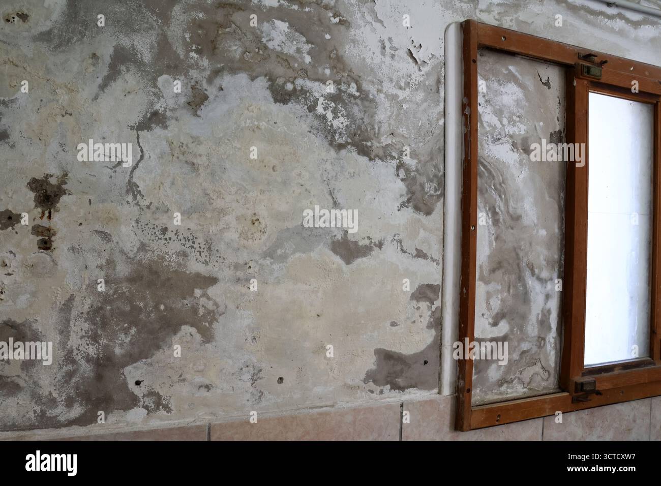 Severely Damaged Wall with Damp Stains and Saltpeter Efflorescence ...