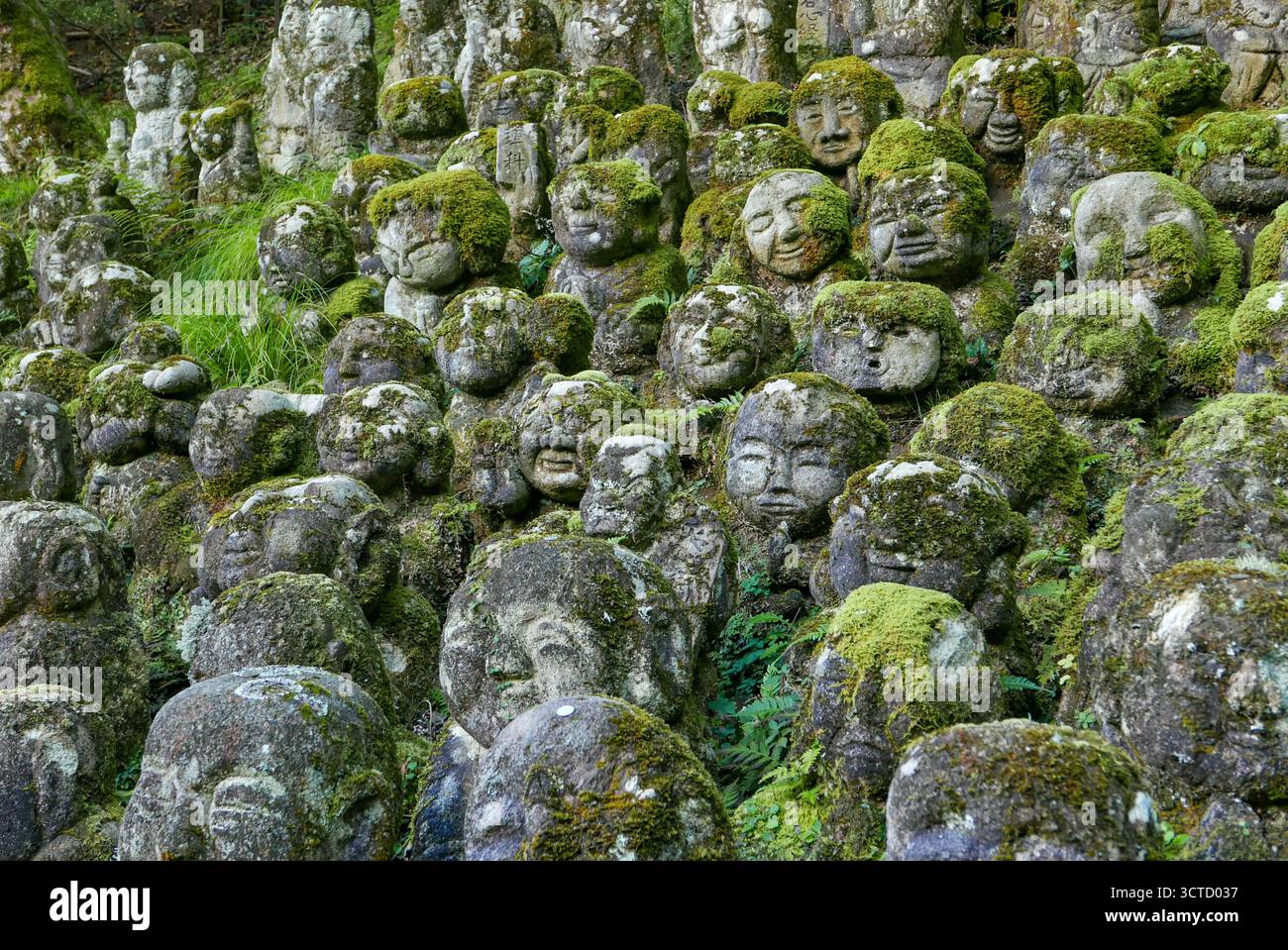 Japan, Kyoto, Otagi Nenbutsuji Temple: statues of rakans (disciples of Buddha), covered in moss, surrounding the temple founded in the 8th century by Stock Photo