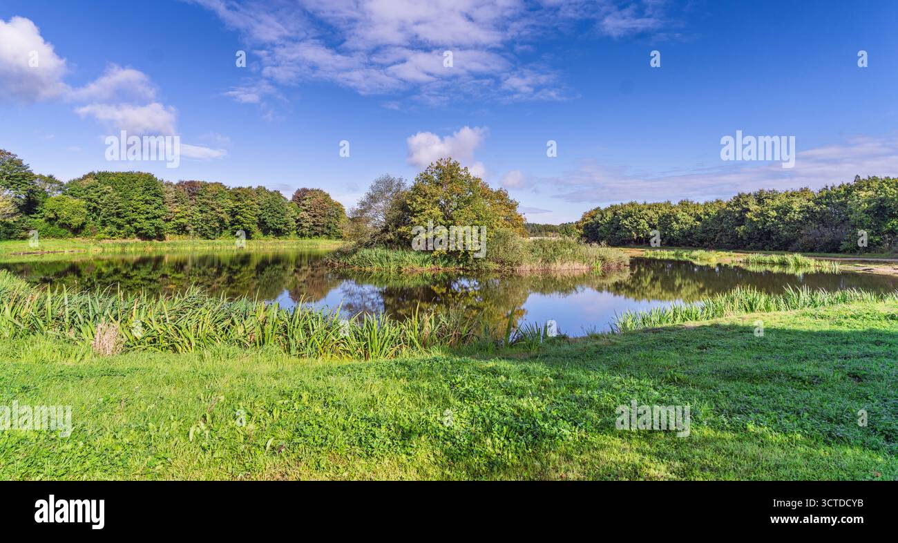A tranquil lakeside scene in a lush park. Clear water reflects a bright ...