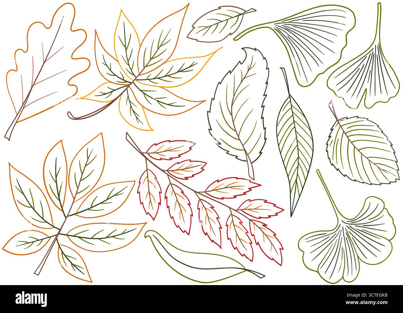 Autumn leaves. Set of illustrations in hand draw style. Hand drawing ...