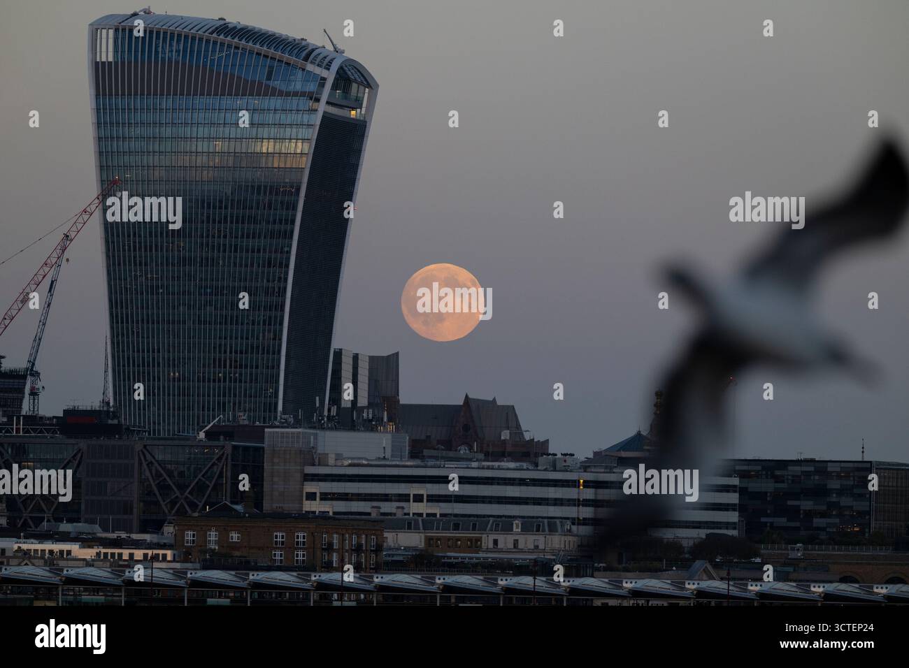 London, UK. 6 October 2025. UK Weather – The full Harvest Moon rises ...