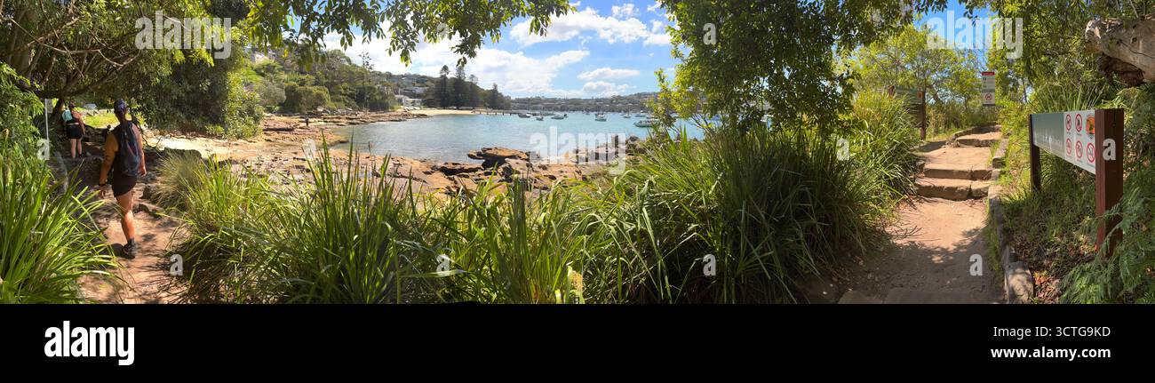 Panoramic view of Manly Scenic Walk, Sydney Harbour National Park, Sydney, NSW, Australia. No MR or PR - Smartphone Captured Stock Image
