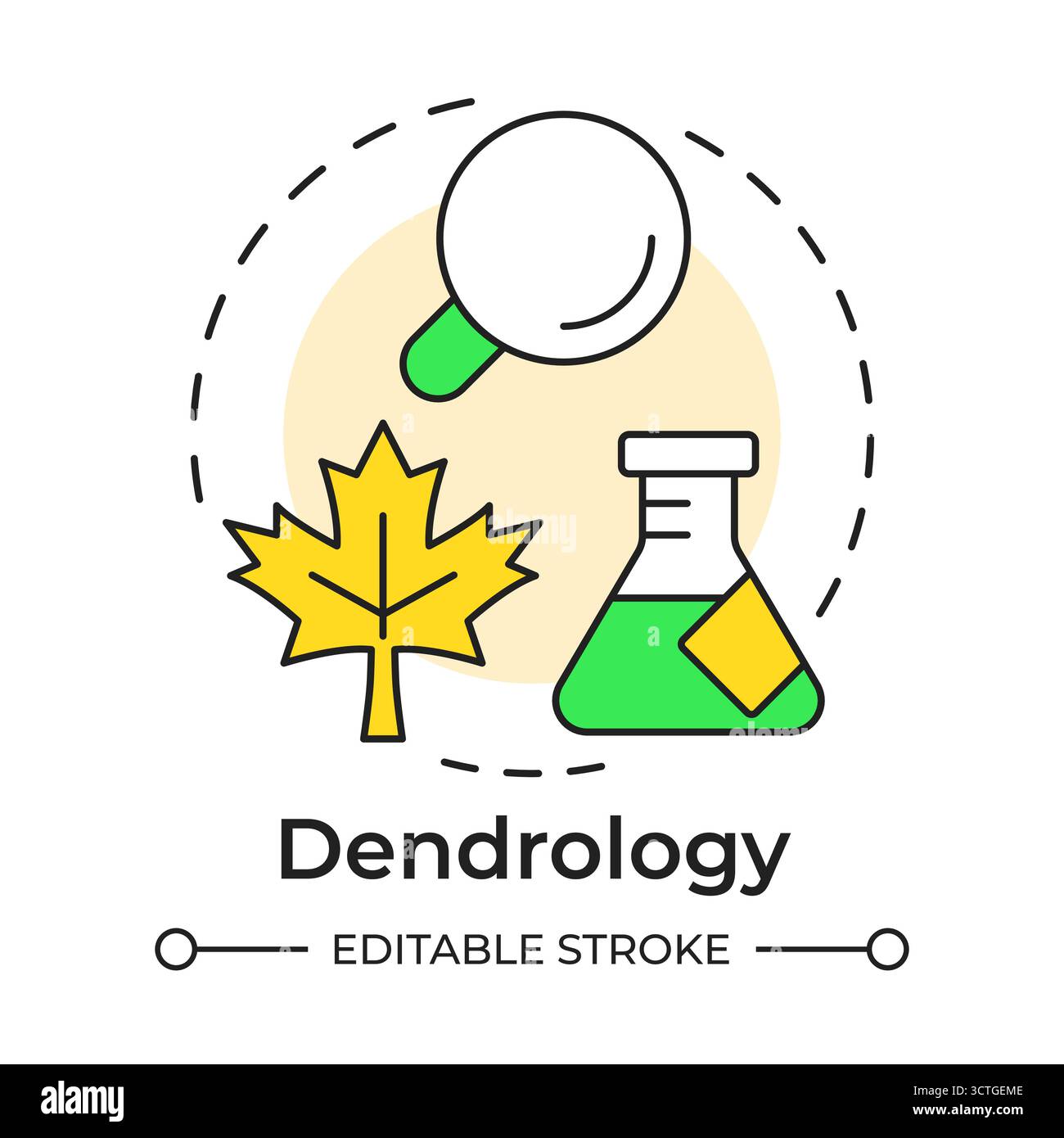 Dendrology multi color concept icon Stock Vector