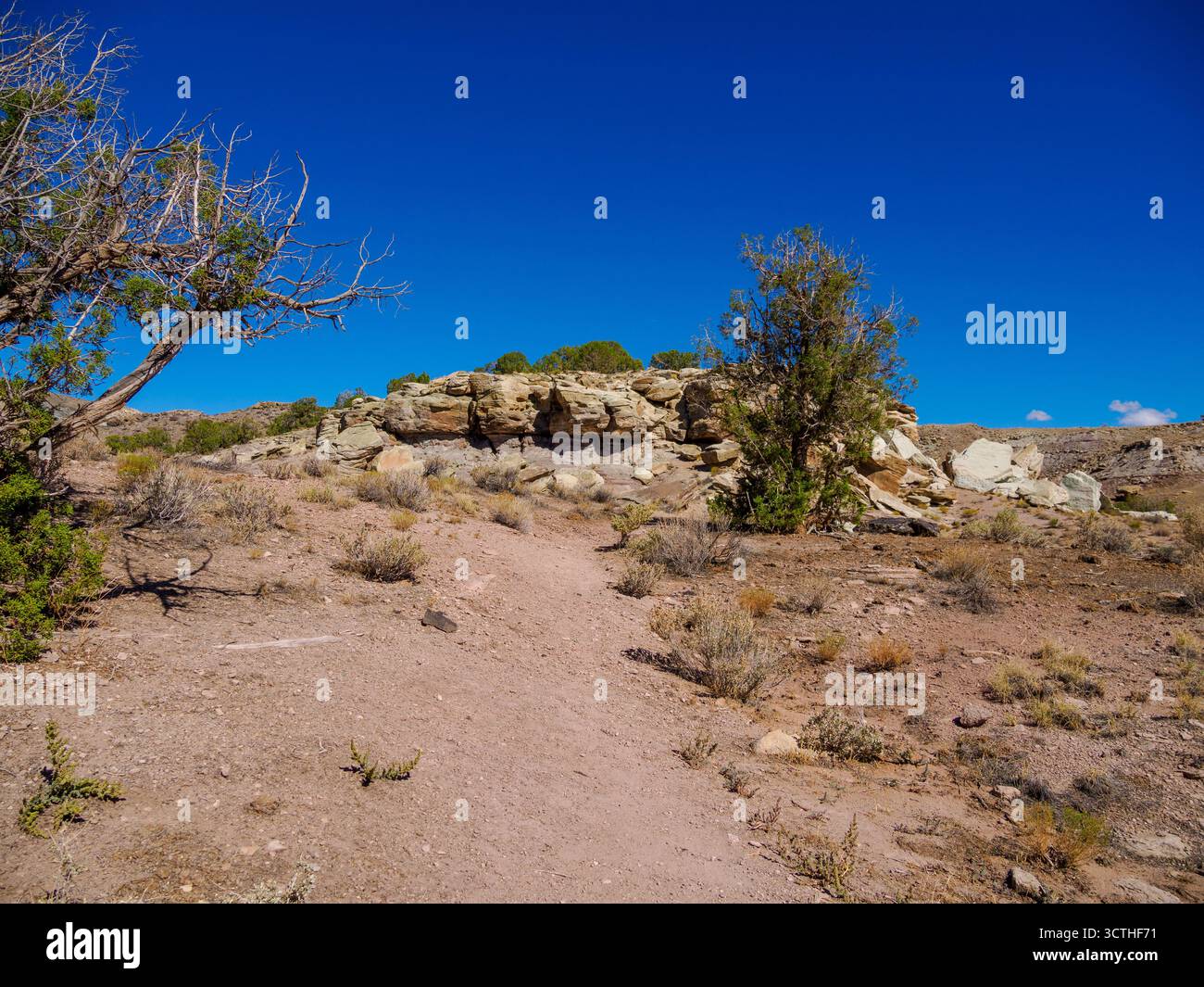 Time Rabbit Landscape Photo Trail Through Time, Rabbit Valley, Colorado, USA Stock Photo - Alamy