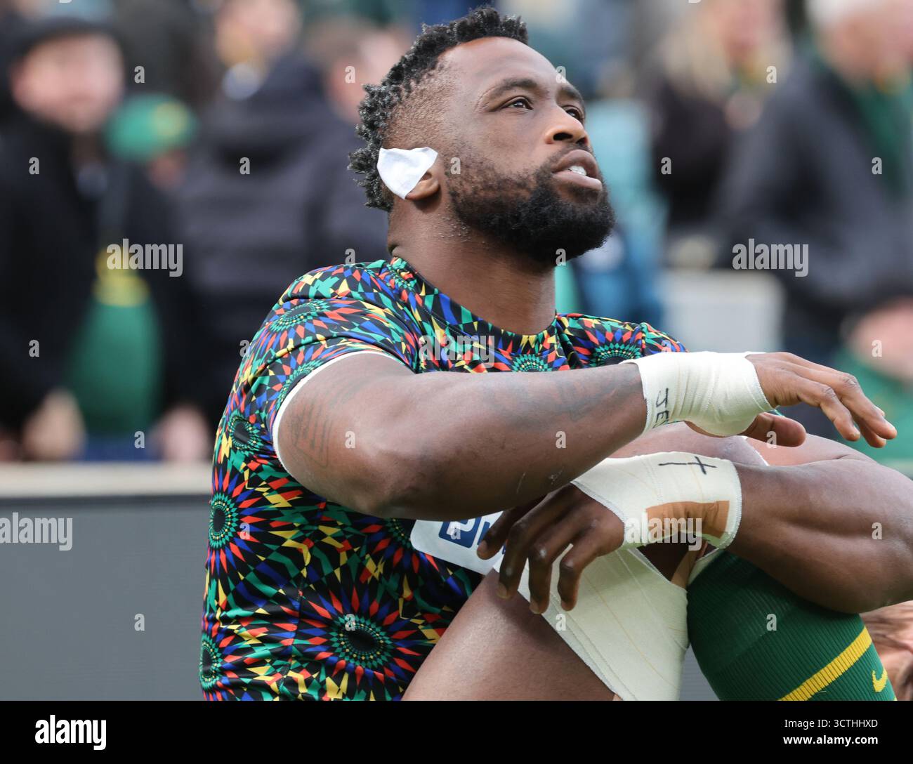 Siya Kolisi(Sharks) of South Africa during The Rugby Championship match ...