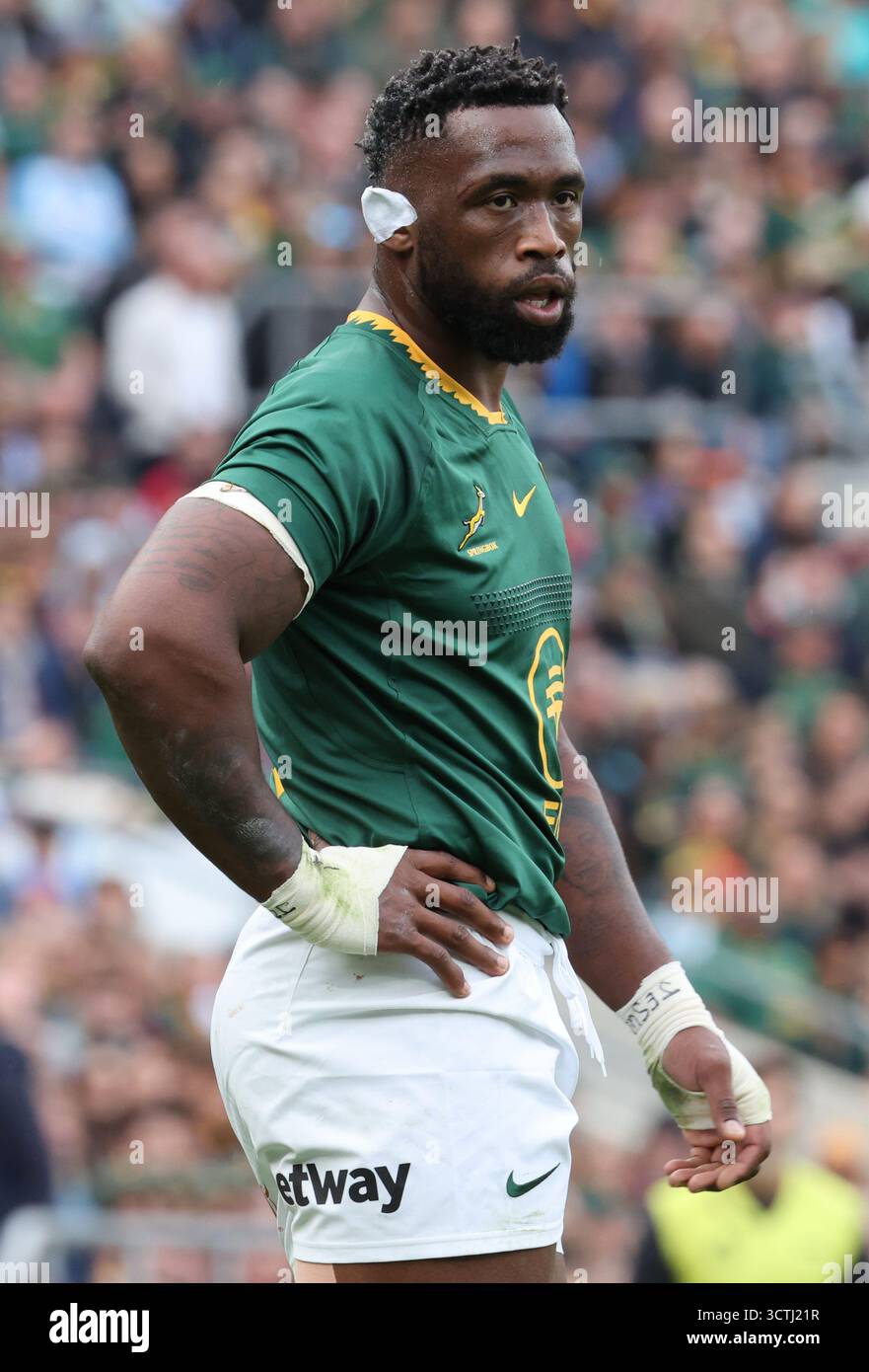 Siya Kolisi(Sharks) of South Africa in action during The Rugby ...