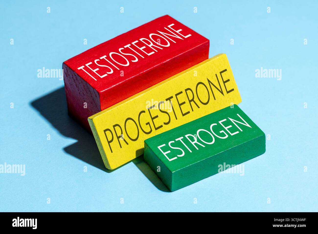 Wooden blocks labeled testosterone, progesterone, and estrogen. Hormone balance, human hormones, endocrine system concepts. Stock Photo
