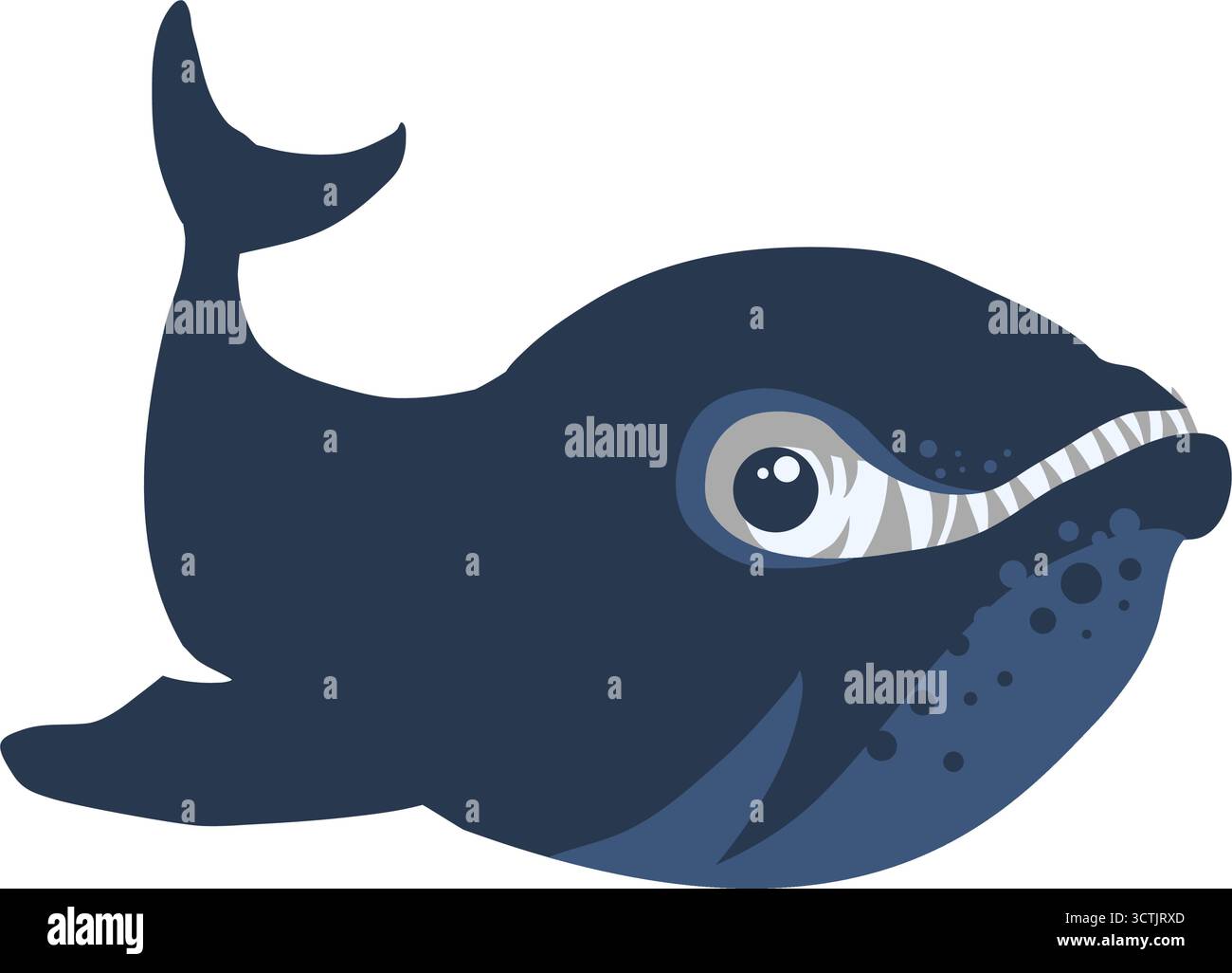 Southern R Shd Vector Southern right whale cartoon vector illustration Stock Vector Image ...