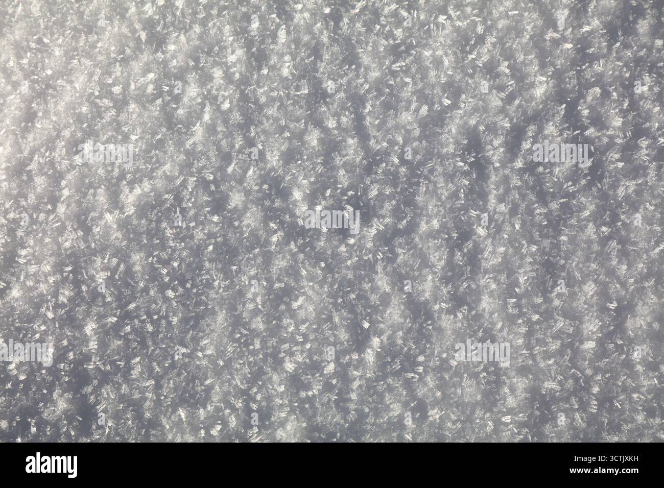 Fresh snow background texture. White winter backdrop. Stock Photo