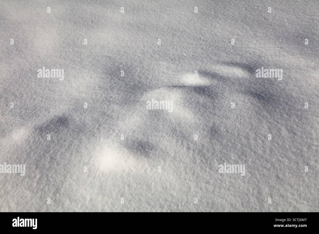 Fresh snow background texture. White winter backdrop. Stock Photo