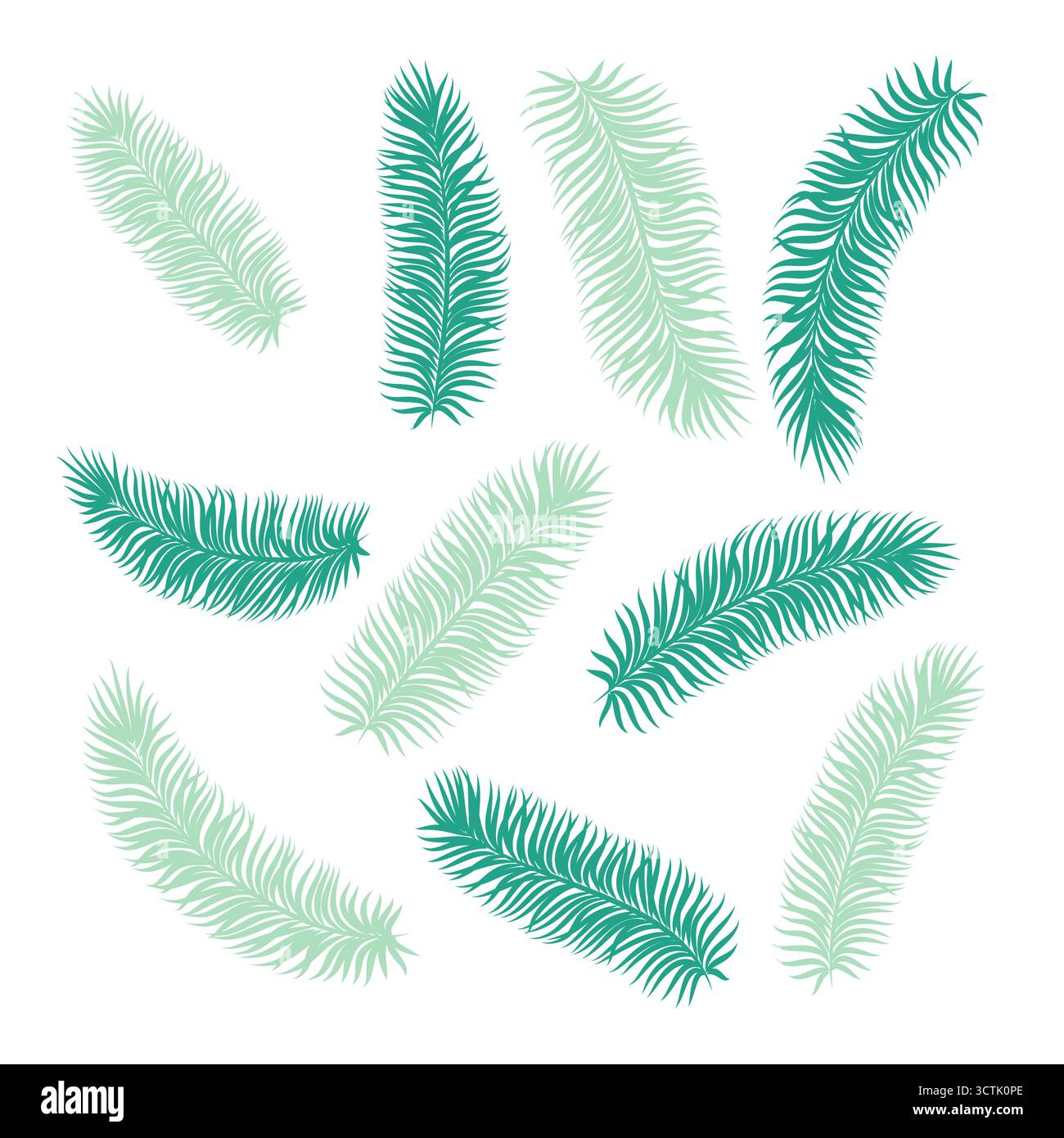 set of tropical palm leaves isolated on white background Stock Vector ...